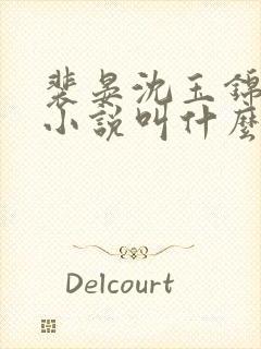 裴晏沈玉锦原著小说叫什么名字