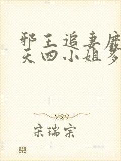 邪王追妻废材逆天四小姐多少字封面
