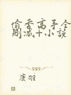 偷香高手全文无删减+小说封面