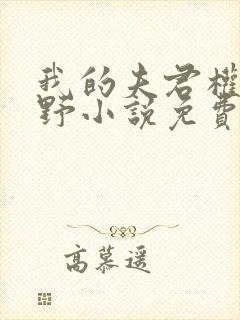 我的夫君权倾朝野小说免费阅读封面