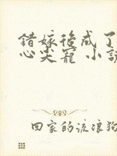 错嫁后成了总裁心尖宠 小说