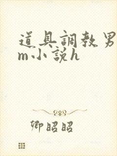 道具调教男男sm小说h封面