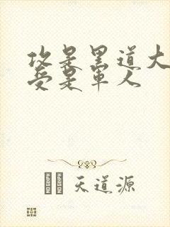 攻是黑道大佬,受是军人