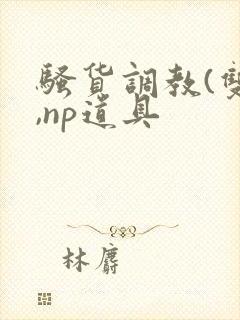 骚货调教(双性,np道具