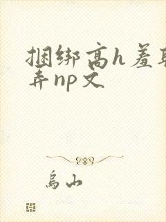 捆绑高h羞耻玩弄np文