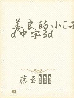 善良的小[子hd中字3d