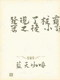 发现了校霸的秘密之后 小说