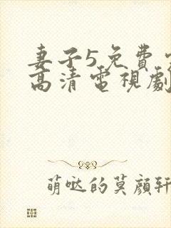 妻子5免费完整高清电视剧