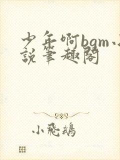 少年啊bgm小说笔趣阁
