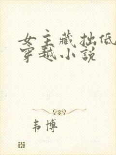 女主藏拙低调的穿越小说