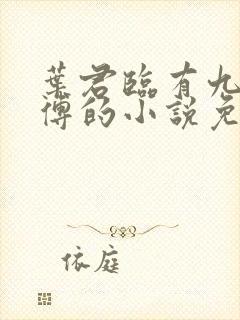 叶君临有九个师傅的小说免费