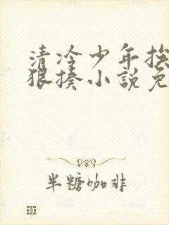 清冷少年挨爸爸狠揍小说免费阅读全