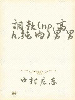 调教(np,高h,纯肉)男男封面