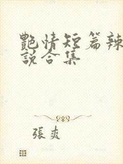 艳情短篇辣文小说合集