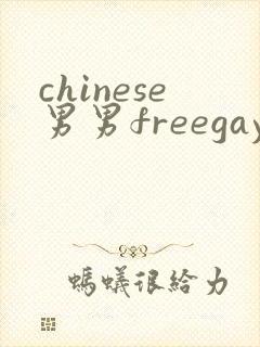 chinese男男freegayvideo