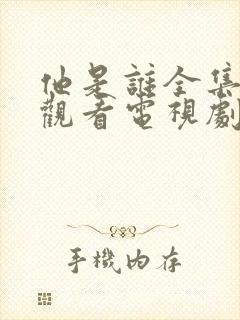 他是谁全集免费观看电视剧高清封面