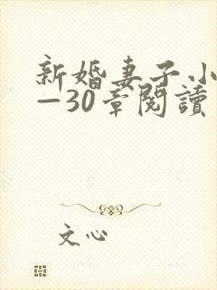 新婚妻子小说1—30章阅读封面