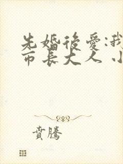 先婚后爱:我的市长大人 小说