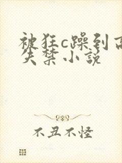 被狂c躁到高潮失禁小说