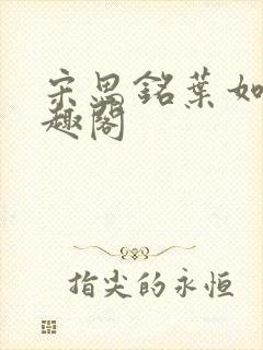 宋思铭叶如云笔趣阁