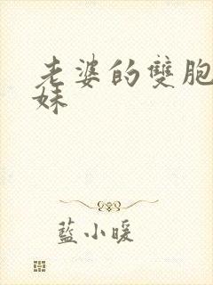 老婆的双胞胎表妹封面