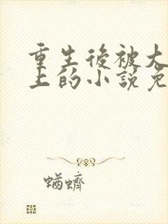 重生后被大佬缠上的小说免费阅读
