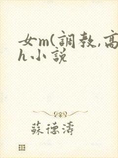 女m(调教,高h小说