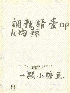 调教精壶np高h肉辣
