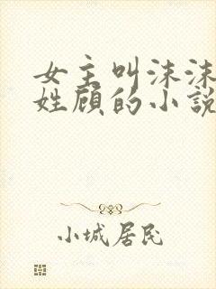 女主叫沫沫男主姓顾的小说