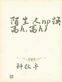 陌生人np换(高h,高h)