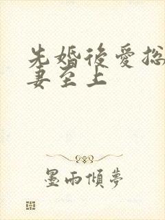 先婚后爱总裁宠妻至上
