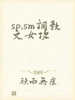 sp,sm调教文女攻封面