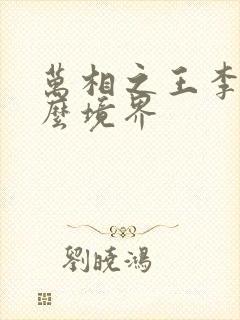 万相之王李洛什么境界