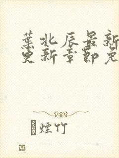 叶北辰最新章节更新章节免费阅读