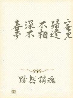 春深不归客,清梦不相逢免费阅读