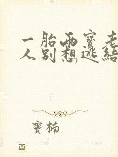 一胎两宝老婆大人别想逃结局