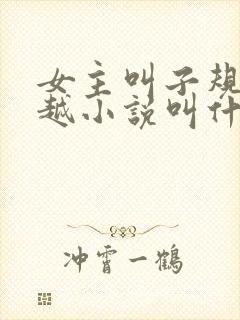 女主叫子规的穿越小说叫什么