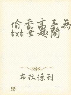 偷香高手无删减txt笔趣阁封面