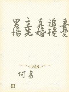 男主真追妻火葬场先婚后爱封面