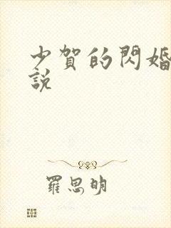 少贺的闪婚暖小说封面