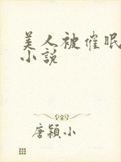 美人被催眠洗脑小说封面