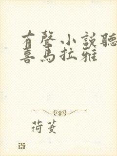 有声小说听书吧喜马拉雅