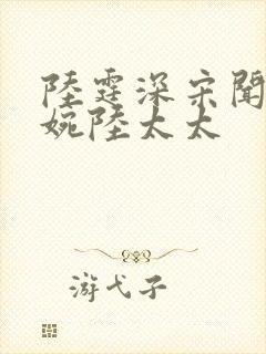 陆霆深宋闻璟林婉陆太太