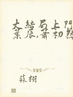 大结局上门龙婿叶辰,萧初然封面
