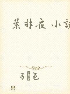 叶非夜 小说