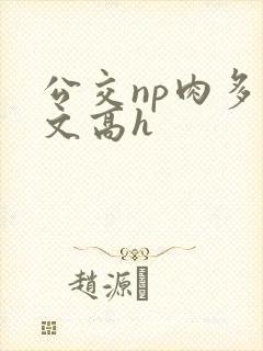 公交np肉多荤文高h