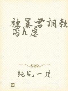 被暴君调教成禁脔h虐封面