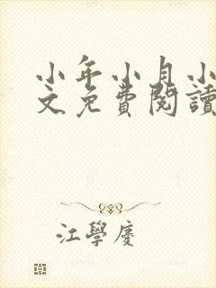 小年小月小说全文免费阅读无弹窗