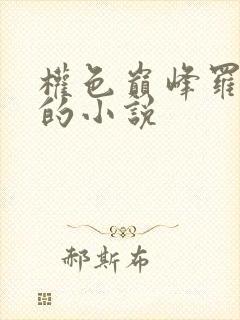 权色巅峰罗泽凯的小说封面