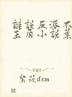 谁说反派不能当主角小说叶玄